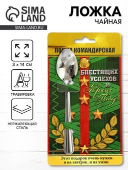Ложка чайная с гравировкой «Командирская Ложка», на подарочной открытке, 3×14 см