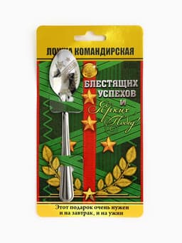 Ложка чайная с гравировкой «Командирская Ложка», на подарочной открытке, 3×14 см