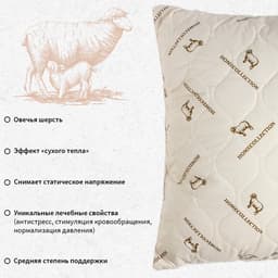 Подушка «Этель», подстёжка — овечья шерсть, 70×70 см, тик