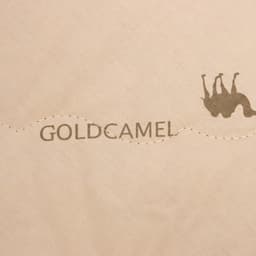 Одеяло 1.5 сп. «Этель. Верблюжья шерсть» 140×205 см, тик, 300 г/м²