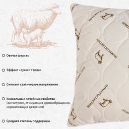 Подушка «Этель», подстёжка — овечья шерсть, 50×70 см, тик