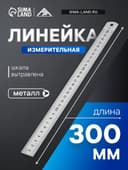 Линейка измерительная ТУНДРА, металлическая, шкала вытравлена, 300 мм