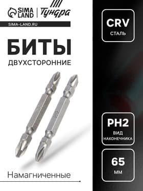 Биты двухсторонние ТУНДРА, намагниченные, сталь CrV, PH2×65 мм, 2 шт.