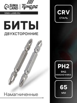 Биты двухсторонние ТУНДРА, намагниченные, сталь CrV, PH2×65 мм, 2 шт.