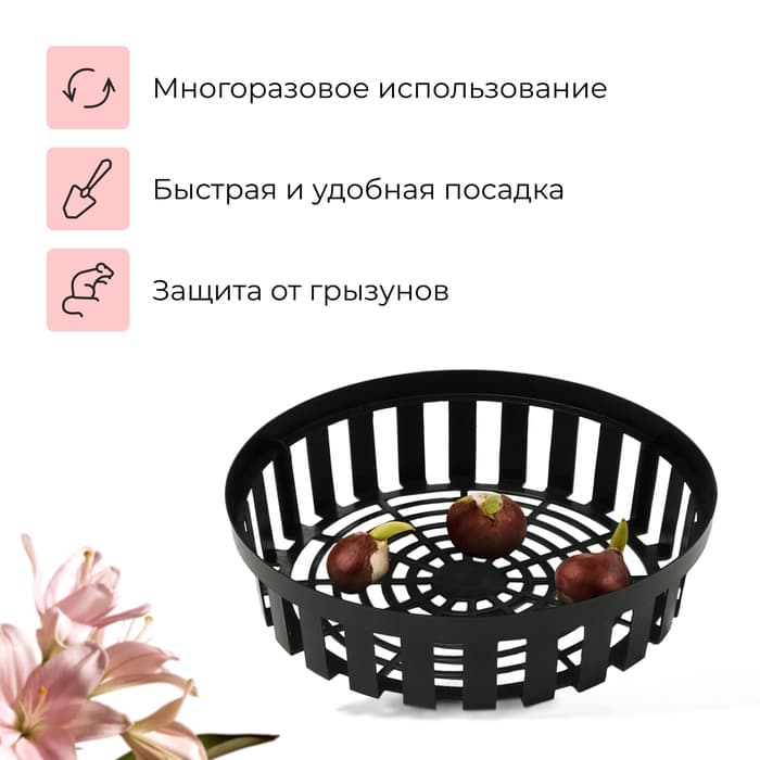 Корзина для посадки луковичных растений, круглая, d=30 см, h=8 см, чёрная