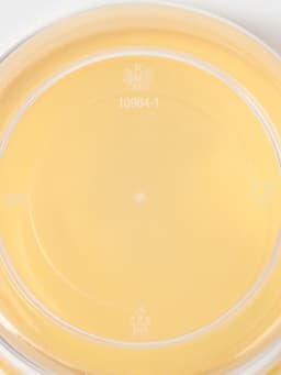 Набор контейнеров с закручивающимися крышками Полимербыт, пластик, 2 шт.: 500 мл, 1 л, прозрачные, крышки МИКС