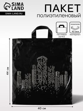Пакет «Биг сити», полиэтиленовый с петлевой ручкой, 44×40 см, 43 мкм
