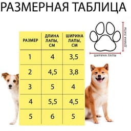 Ботинки «Кристмес», набор 4 шт., размер 4 (подошва 5.5×4.5 см), красные