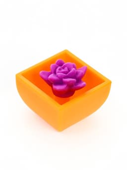 Растущие растения Funny toys, МИКС