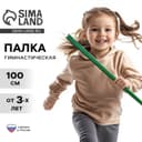 Палка гимнастическая 100 см, зелёная