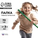 Палка гимнастическая 70 см, зелёная