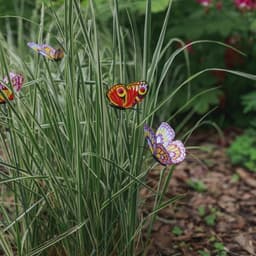 Штекер садовый «Бабочка дольче», 12×9 см, h=30 см, МИКС