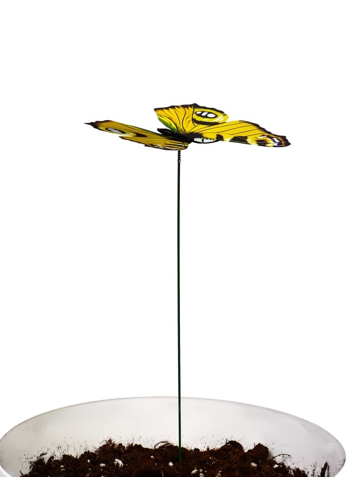 Штекер садовый «Бабочка дольче», 12×9 см, h=30 см, МИКС