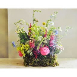 Губка флористическая для живых цветов, букетов «Оазис Классик» кирпич, 23×11×8 см