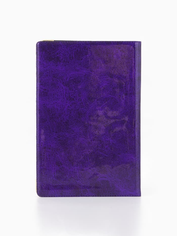 Обложка для паспорта, с гербом, 9.5×0.5×13.5 см, МИКС