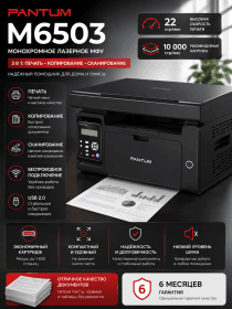 МФУ Pantum M6503