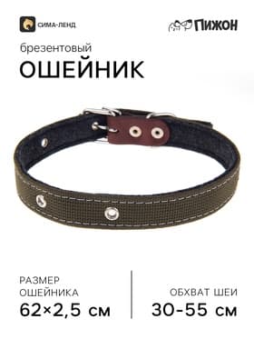 Ошейник брезентовый на фетре, 62×2.5 см, ОШ 30-55 см, тёмно-зелёный