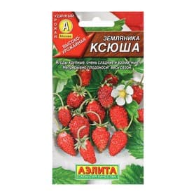 Семена Земляника «Ксюша», альпийская, 0.04 г, «Аэлита»
