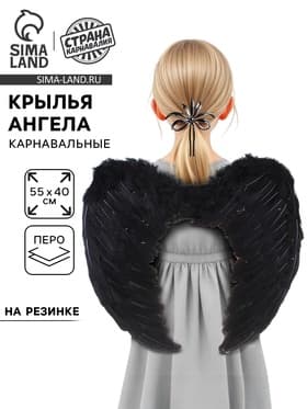 Крылья ангела, 55×40, чёрные