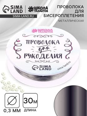 Проволока для творчества и бисероплетения, d=0.3 мм, 30 м, серебряный