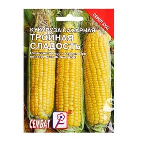 Семена Кукуруза сахарная «Тройная Сладость», XXXL, «Сембат», 25 г