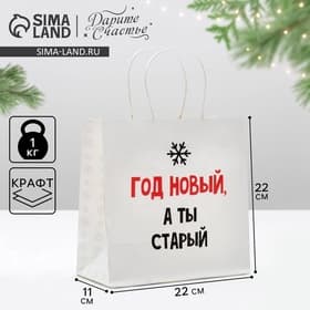Пакет подарочный новогодний «Год Новый, а ты старый», 22×22×11 см
