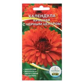 Семена цветов однолетние Календула красная, с черным центром, махровая, 0.2 г