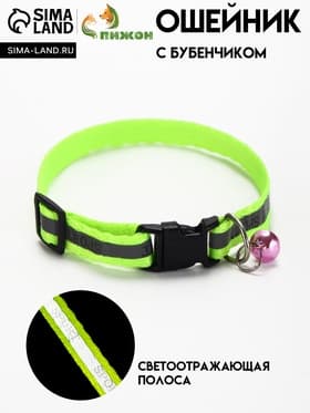 Ошейник «Спорт» со светоотражающей полосой, 31×1 см, зелёный
