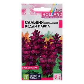 Семена цветов Сальвия «Редди Парпл», сверкающая, 5 шт.