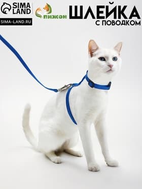 Комплект для кошек, ширина 1 см, ОШ 16.5-27 см, ОГ 21-35 см, поводок 120 см, синий