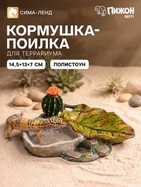 Кормушка для террариума, 14.5×13×7 см