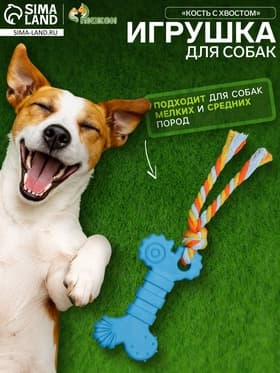 Игрушка жевательная с канатом «Кость с хвостом», синяя