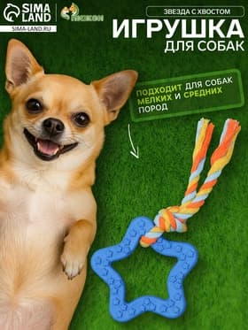 Игрушка жевательная с канатом «Звезда с хвостом», синяя