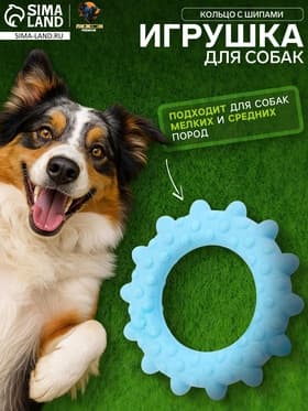 Плавающая игрушка для собак Пижон Premium «Кольцо с шипами», 8 см, вспененный TPR, голубая