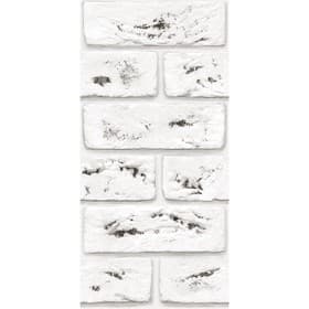 Панель стеновая ПВХ «Палаццо Неро 744», 2600×250 мм, цвет белый