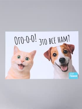 Коврик под миску «Пижон» 43×28 см «Ого! Это всё нам?»