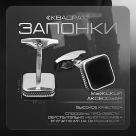 Запонки медные «Квадрат», классический, чёрные в серебре