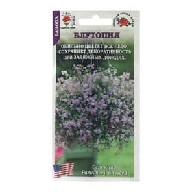 Семена цветов Бакопа «Блутопия», 3 шт., «Золотая Сотка Алтая»