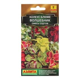 Семена Колеус «Волшебник», смесь сортов, 5 шт.