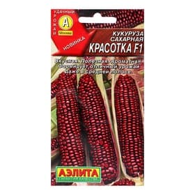 Семена Кукуруза сахарная «Красотка», F1, 5 шт., «Аэлита»