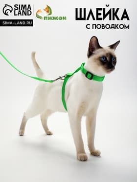 Комплект для кошек, ширина 1.5 см, ОШ 16.5-27 см, ОГ 21-35 см, поводок 120 см, зелёный