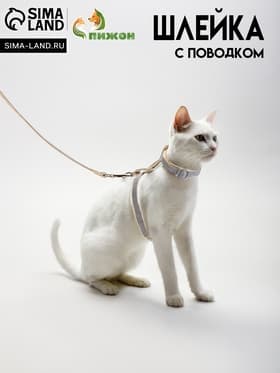 Комплект амуниции «Жаккард», поводок 120×1 см, серый