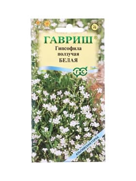 Семена цветов Гипсофила ползучая, Белая* 0,05 г