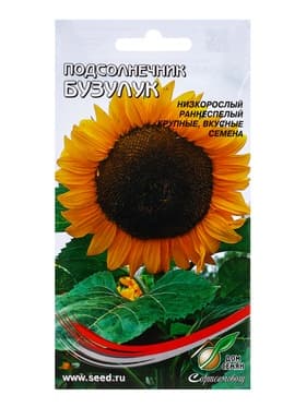 Семена Подсолнечник «Бузулук», 60 шт., «Дом семян»