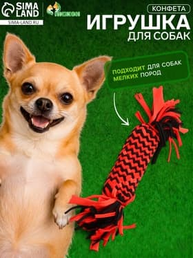 Игрушка для собак канатная «Конфета», до 30 см, до 60 г