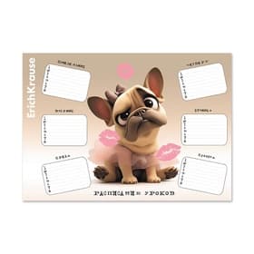 Расписание уроков A4, ErichKrause Frenchie