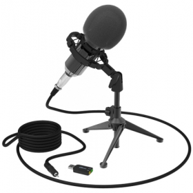 Микрофон студийный Ritmix RDM-160 черный Ош