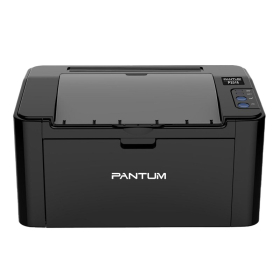 Принтер Pantum P2516 black (1200х1200 dpi, ч/б, 22 стр/мин, USB)