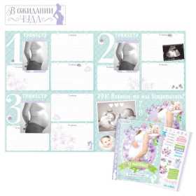 Плакат будущей мамочки в папке '9 месяцев в ожидании чуда' для вклейки фото и записей на каждый месяц + наклейки Ош